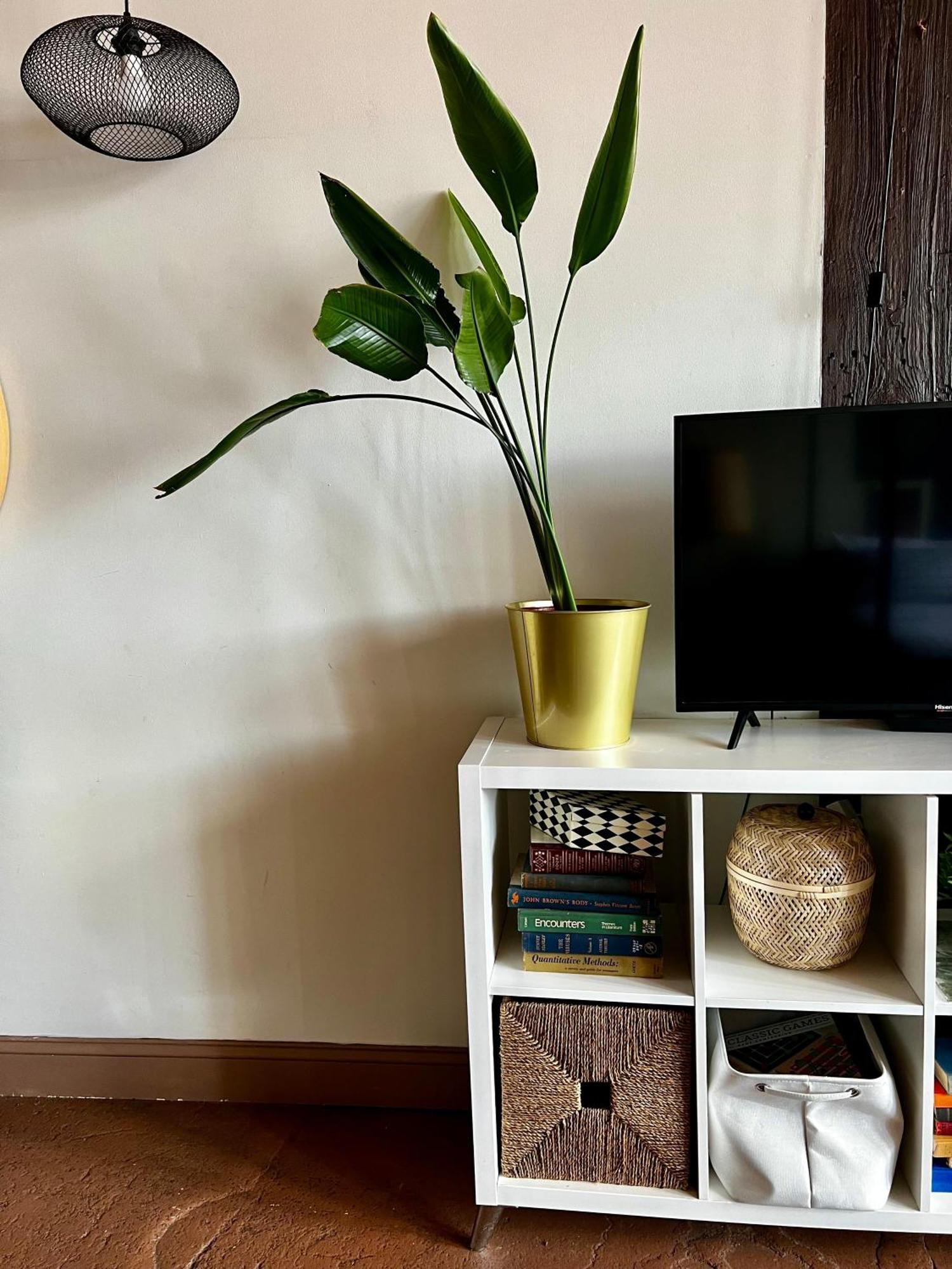 420 Friendly Boho Loft Downtown King Suite Free Parking ديترويت المظهر الخارجي الصورة